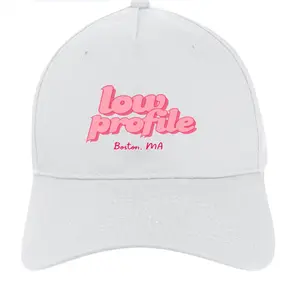 LOW PROFILE BOSTON MA WHITE EMBROIDERED BASEBALL HAT downtown tree lighting detroit hats