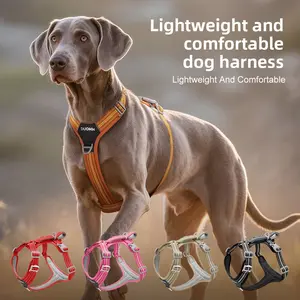 Dog Leash and Harness Set Anti-Shock Reflective Wear-Resistant for Large Dogs Outdoor Use Adjustable Stainless Steel Martingale Collar Silicone Feeder for Cats Interactive Play Toy