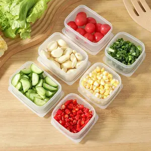 Food Storage Container, 2 Counts  Leak Proof Food Fruit Ginger Storage Container with Lid, Food Preservation Container for Kitchen & Outdoor Use