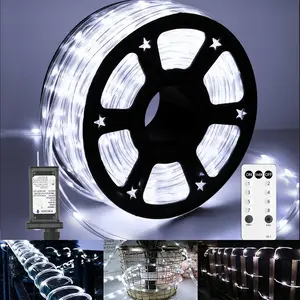 100Ft 720 LED Rope Lights Outdoor Waterproof with Remote, 8 Modes and 4 Brightness for Garden Patio Pool Bedroom Party Indoor Outdoor Decoration (Cool White)