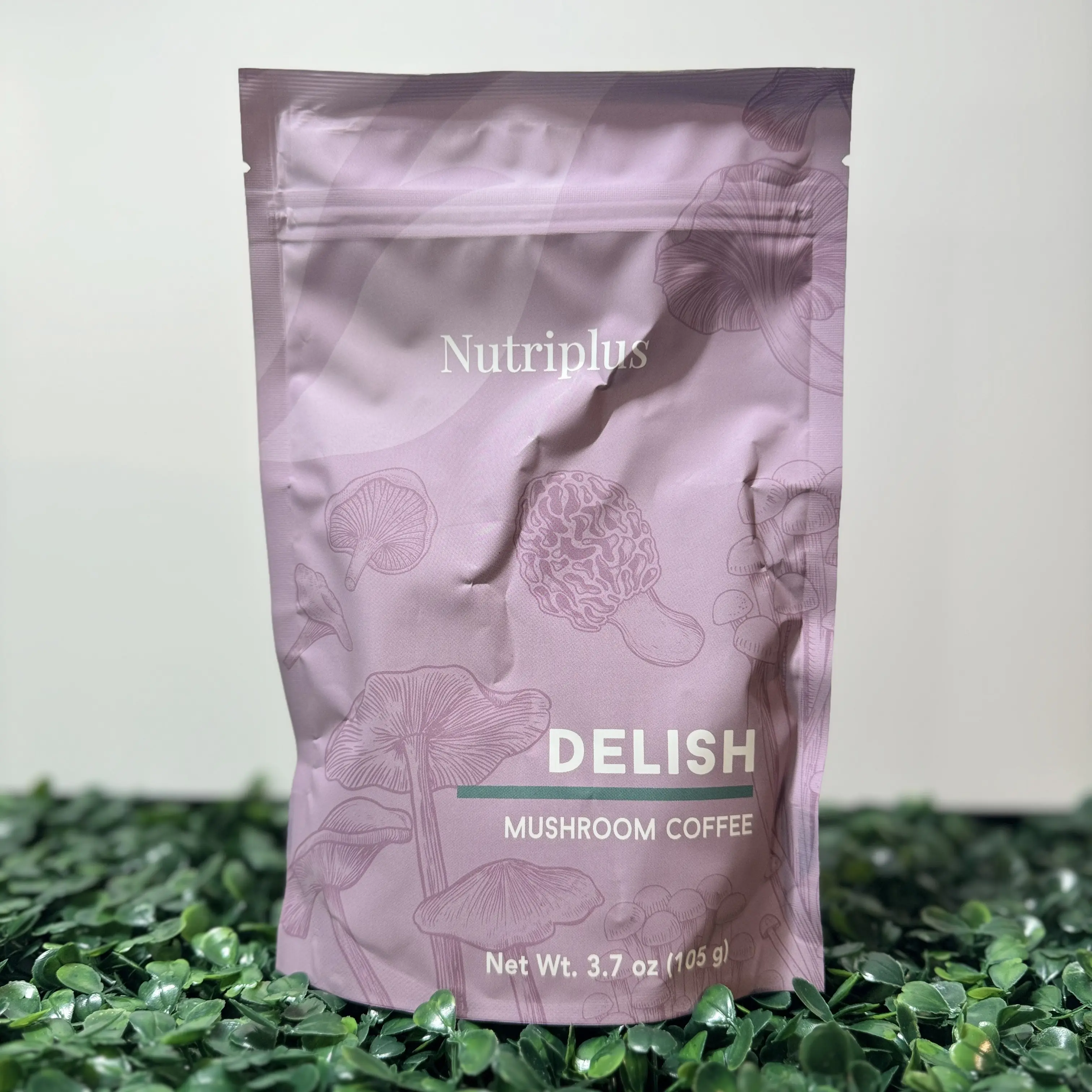 Nutriplus Delish Mushroom Coffee - Instant Coffee Blend (105g)