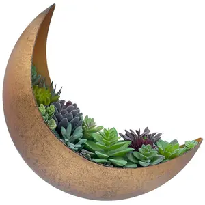 Aerlo Metal Moon Planter - Wall Mount for Succulents and Cacti - Boho Decor Crescent Pot - Rustic Gold Finish