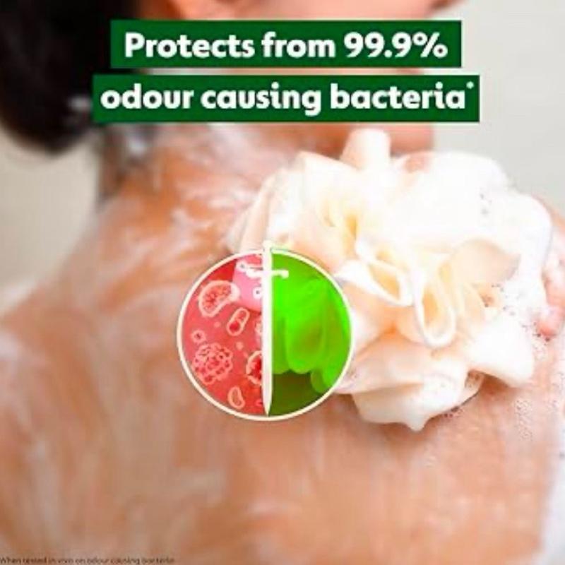 Dettol Antibacterial Body Soap 48 Count - Re-Energize Formula for Hygiene and Skin Care Cleanser Cleansing