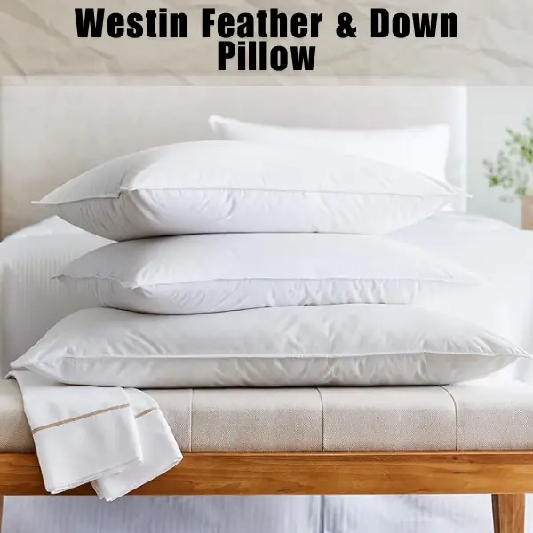 Westin Feather & Down Pillow | West In Hotel Exclusive | Pack of 2