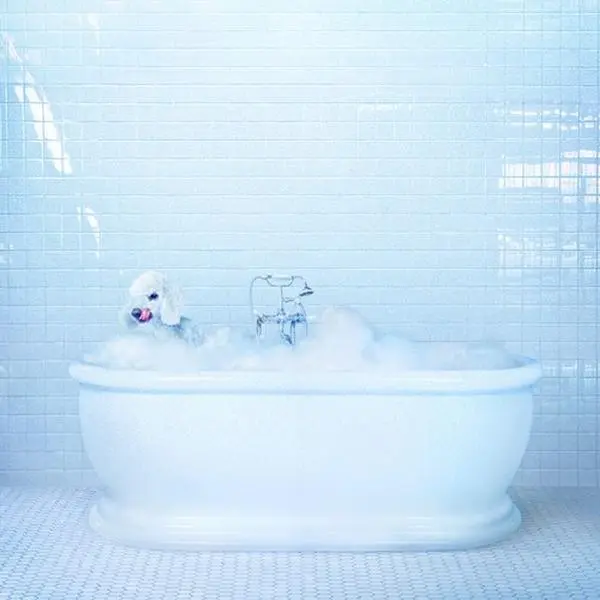 Frankie Cosmos - Vessel  [VINYL RECORD - LP]