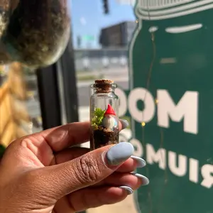 Plush Moon Terrarium Co Gnome Mini Terrarium Live Moss Stress Relief Plant - Perfect Friend Gift Birthday Anniversary