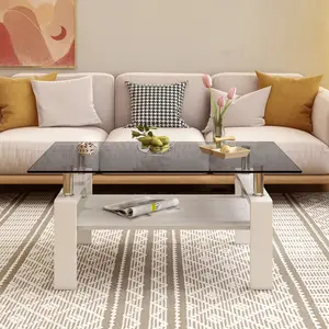 Gray Tempered Glass Rectangle Coffee Table 39.2"x23.4"x17.7" MDF Storage Layer Sturdy Iron Legs 220LBS Load Capacity Modern Living Room Table Easy Assembly
