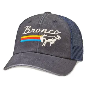 Raglan Bones Hat- Ford Bronco Hat