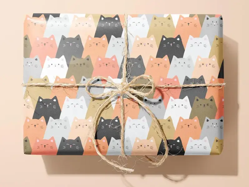 Funky Cat Wrapping Paper / Gift Wrap | Pet Gifts - Birthday - Ideal Gift