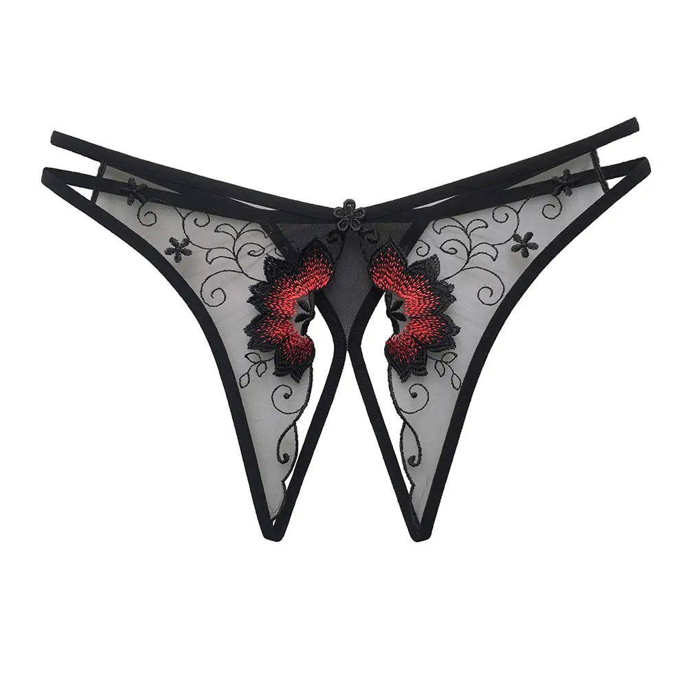 Transparent Mesh Embroidered Floral Women's G-String Thongs with Statement Style, Lingerie Design, Breathable Underwear, Elegant Womenswear Nylon Low Waist