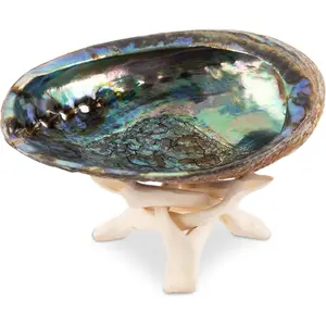 Natural Abalone Shell 5.5-6 Inch Large with Wooden Stand - Incense Holder and Sage Smudge Bowl for Cleansing, Smudging, and Meditation - Palo Santo Holder & Beautiful Home Decor