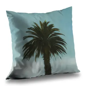 360 stand 14x14 in Polyester Twill Soft Throw Pillow Insert - Tropical Palm, Exotic Floral Design - Bedroom, Indoor/Outdoor Home Decor Accessory, Ideal Gift (Model C1PT1414R8Q1F6), Living Room