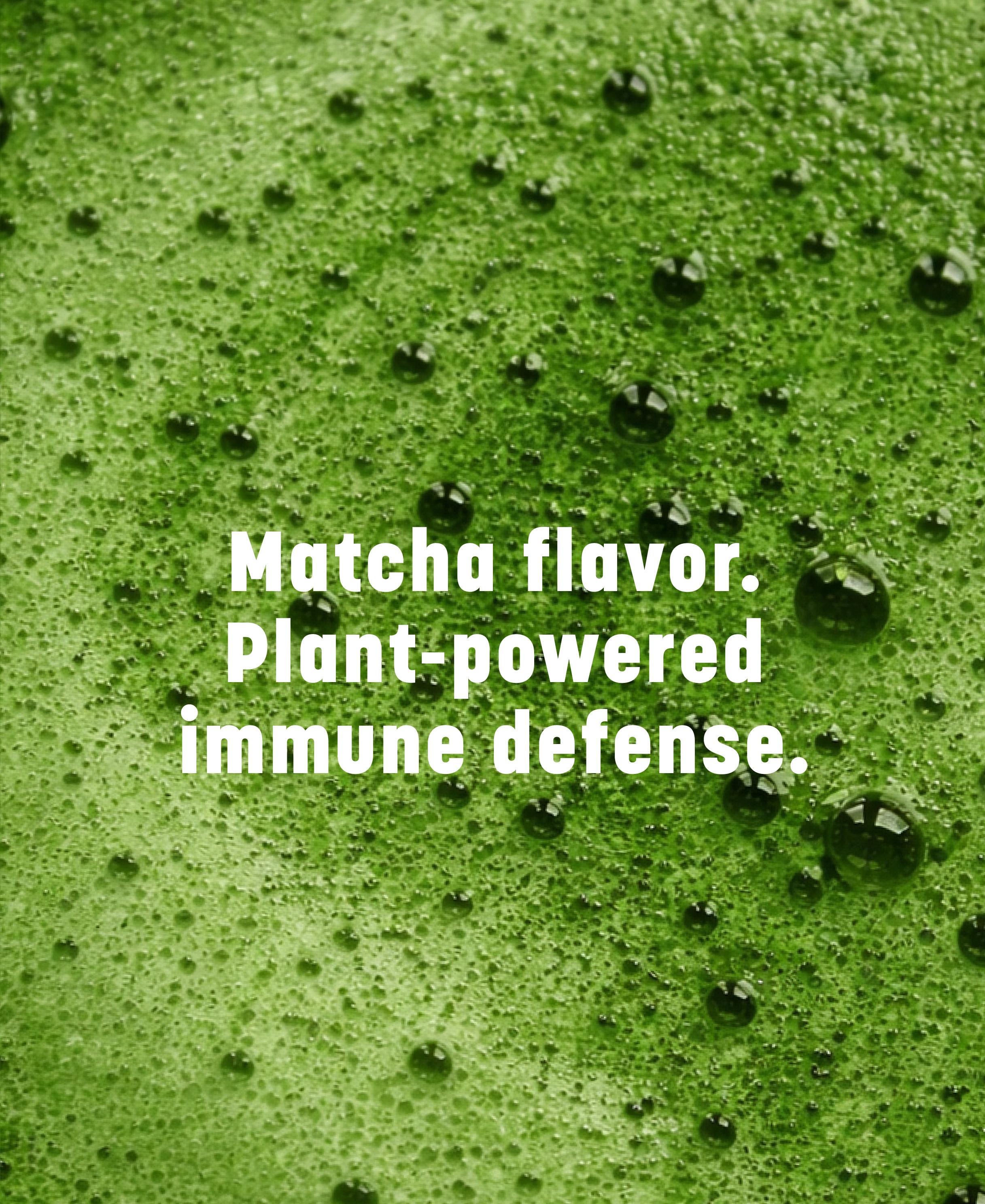 Clooudie SuperGreen Chewing Gum, Matcha Flavor, 30 Gum, Natural Detox Support, Immune Defense, Antioxidant Power, Dietary Supplement, Sugar Free