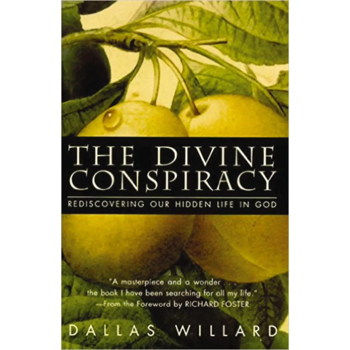 The Divine Conspiracy: Rediscovering Our Hidden Life In God