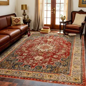 5x7 Washable Area Rug,Indoor  Living Room Carpet,Soft,Low Pile,Non Shedding, Easy Clean,Machine Wash,Non Slip Soft Large Rug Bohemian for Bedroom,Entry Throw Carpet Stain Resistance