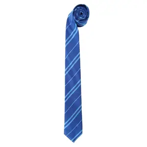 Basic Harry Potter Ravenclaw Necktie