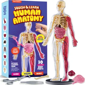 Dan&Darci Squish & Learn Human Anatomy Body Model STEM Toy with 30 Removable Organs & Bones for Kids Detailed Learning Guide Steam Puzzle Game