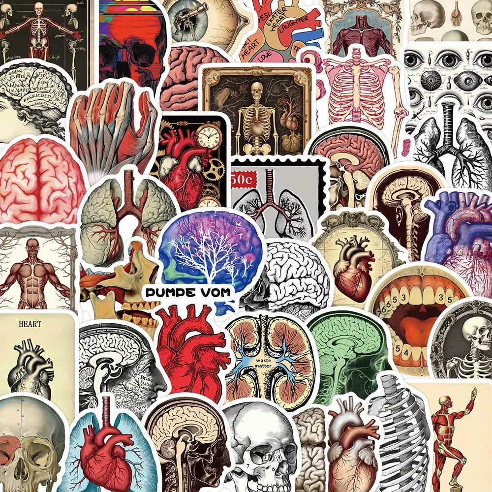 Vintage Scientific Anatomy Sticker, 50/1000pcs/set Retro Human Body Organ Pattern Sticker, DIY Decorative Sticker for Phone Case & Water Bottle & Scrapbook, Ornaments, Cellphone, Decoration, Accessories