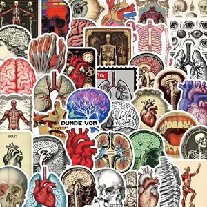 Vintage Scientific Anatomy Sticker, 50/1000pcs/set Retro Human Body Organ Pattern Sticker, DIY Decorative Sticker for Phone Case & Water Bottle & Scrapbook, Ornaments