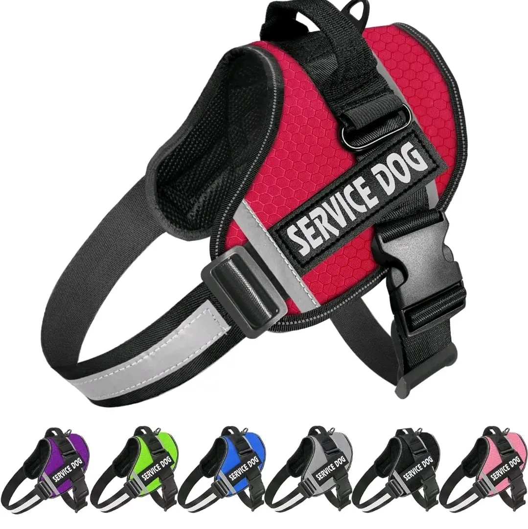 Custom No Pull Dog Harness with Name and Phone Number, Heavy Duty Personalized Pet Vest to Prevent Tugging, Pulling, or Choking, Training and Walking