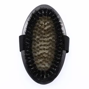 The Dry Brush I Recharge Ionic Exfoliating Body Brush 