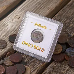 Fossilized Dinosaur Bone Souvenir Token