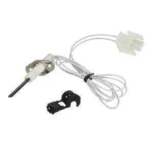 Hayward Ignitor Kit Fd | FDXLIGN1930
