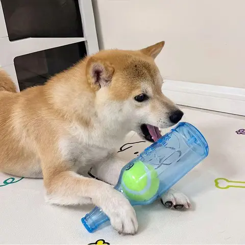 Durable Chew Dog Toy, Bottle-Shaped with Tennis Ball, Interactive Toy for Tough Chewers with Crunchy Sound, Dental Training, Ideal for Pet Owners