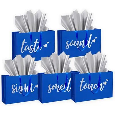 Senses Gift Bags Blue and Black TikTok Shop