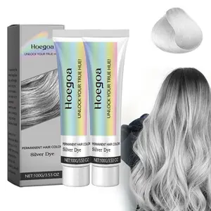 Silver Hair Dye Cream, 2 Counts/set Unisex Silver Hair Dye, Fashion Hair Dye for All Hair Types, Suitable for Daily & Cosplayer & Party