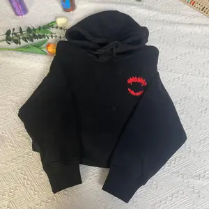 Astarion Approves Embroidered Hoodie - Baldur's Gate BG3 Gamer Gift