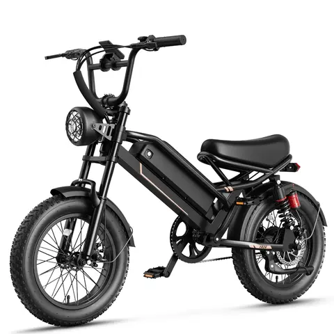 Yoloway YR16 16" Tire Frame Fat Tire Youth Electric Bike - 48V 12.5Ah Lithium Battery, 55 Miles Range, Full Suspens., 4 Shock Absorbers, Cruise Control, Compact Frame, All-Terrain Trail E-Biking for 4'9"-5'5" Riders (New Version)