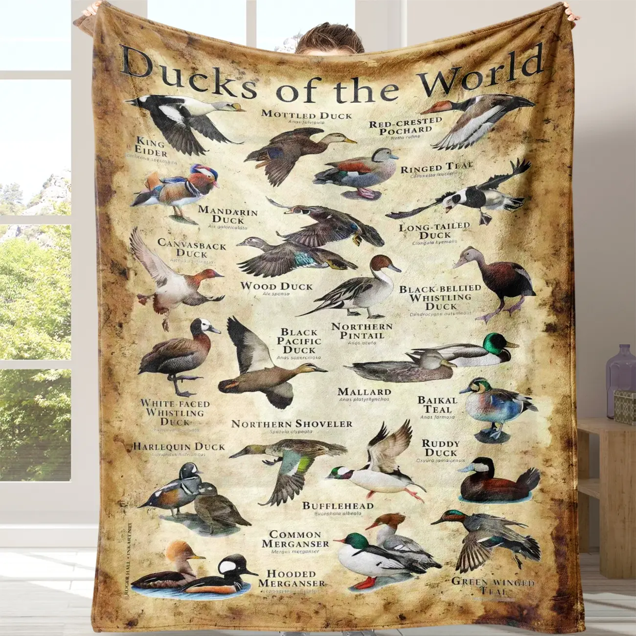 Soft, Novelty Duck Design, Comfortable for Office School Home Picnic Travel Gift, Perfect for All Occasions, Cozy Blanket, Gift Blanket