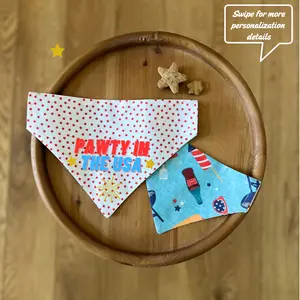 American BBQ / LAST CHANCE / Reversible / Over-the-Collar / Pet Bandana / CLEARANCE