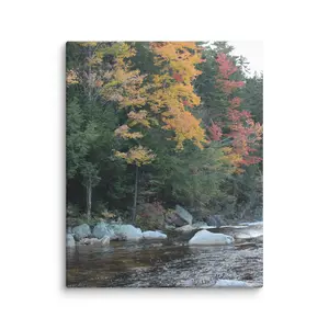 Serene Stream in Fall Canvas