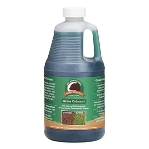 212 MAIN Bare Ground Just Scentsational Green Up Concentrate Grass Colorant - 0.5 gal Grass Dye for Garden, Outdoor Use with Natural Look, Fast Drying Formula