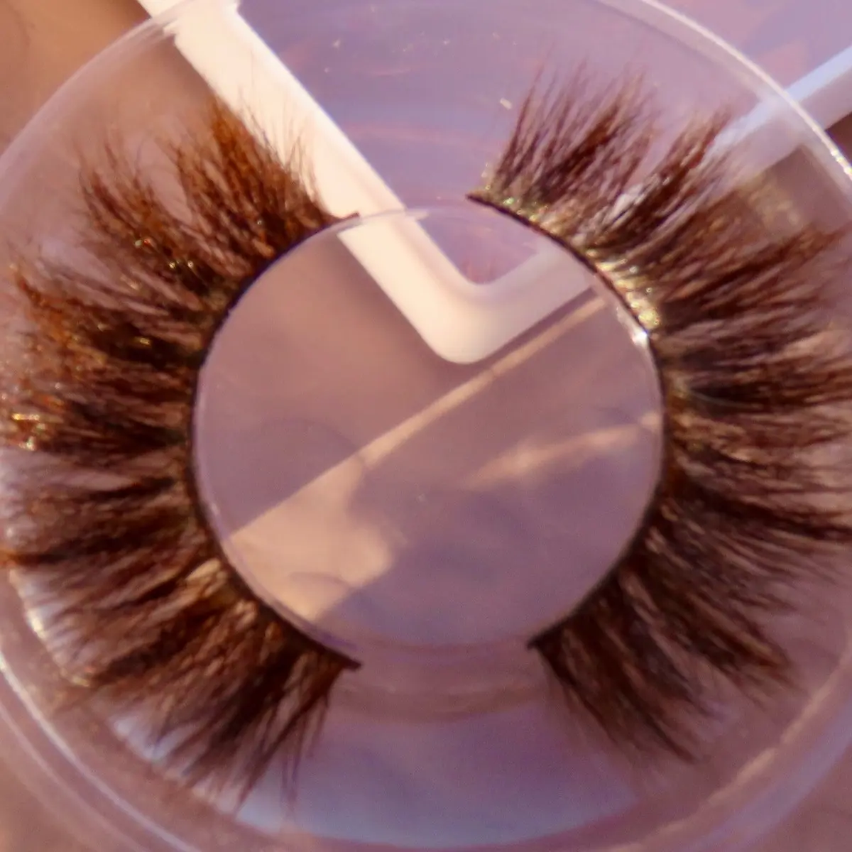Brown Lashes in style Linda