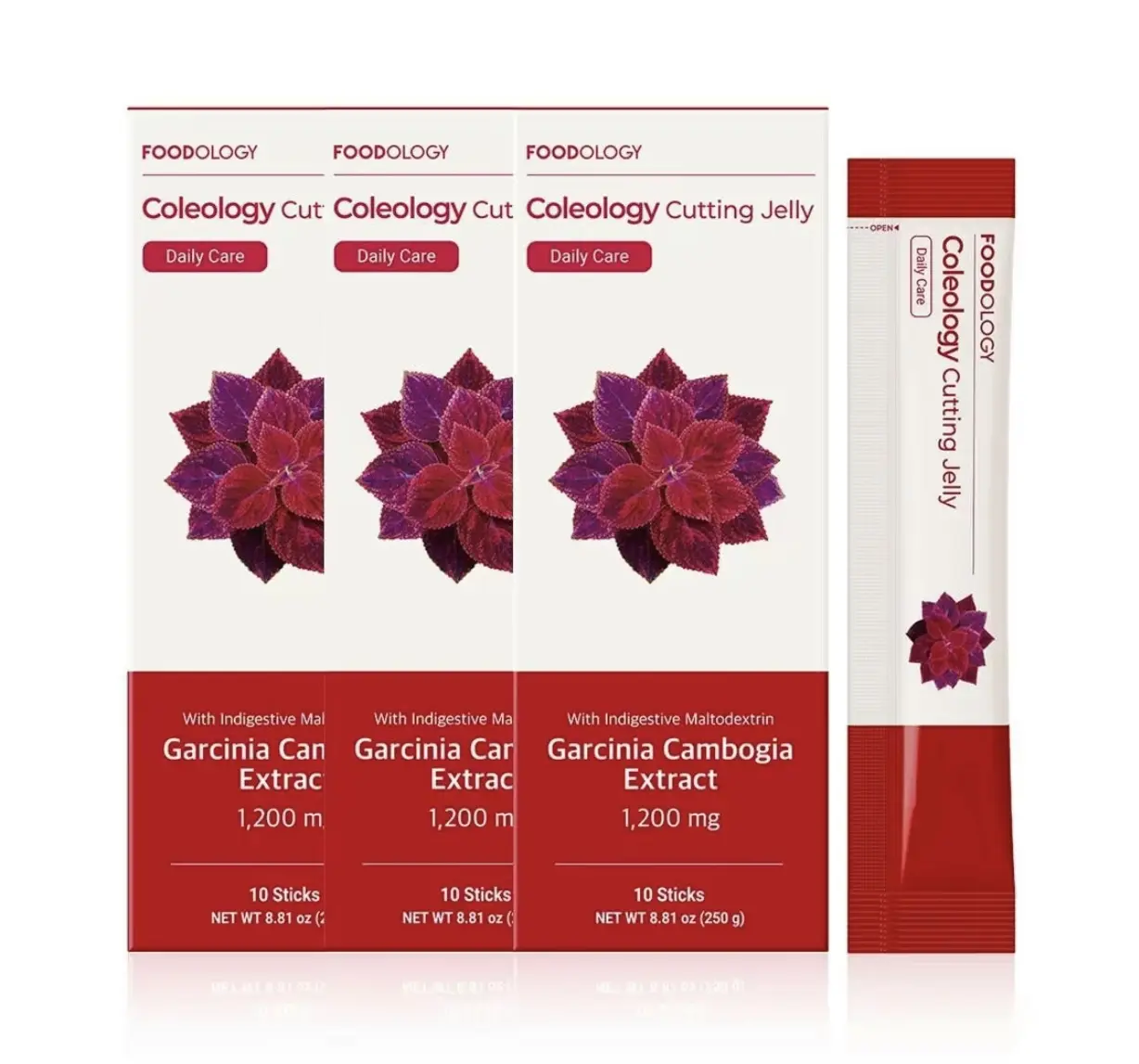 [FOODOLOGY] Coleology Cutting Jelly 10days - Garcinia Cambogia (HCA), Chia Seeds Collagen, Hyaluronic Acid, Pomegranate Flavored 8.81 oz /10 Sticks