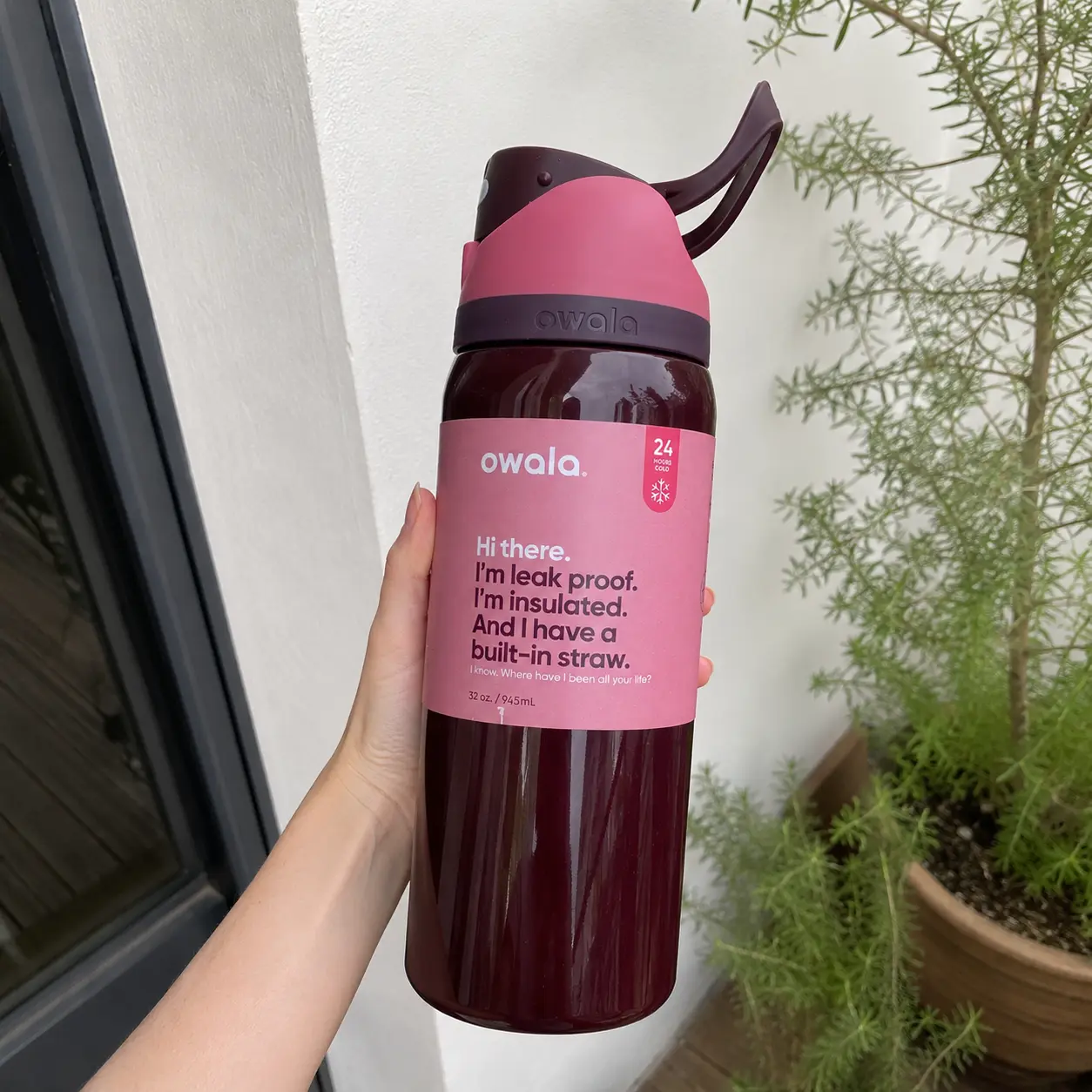 Black Cherry 32oz Insulated Water Bottle with Flip Straw, Leak-Proof Stainless Steel Tumbler for Travel, Gym & Daily Use