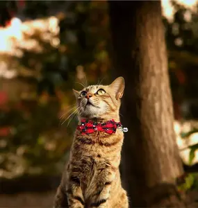 Adjustable Breakaway Christmas Kitten Collar - Upgraded Plaid Design + Bow Tie & Bells