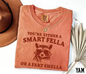Comfort Colors You Are Either A Smart Fella Or A Fart Smella Shirt - Vintage Sarcastic Raccoon Meme Tee, Retro Funny Quote Raccoon Sunglasses T-Shirt, Yam Terracotta Oversized Streetwear Humor Gift