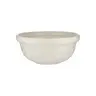 Mason Cash Pumpkin Patch S24 (2.15 Qt) Mixing Bowl | Cream