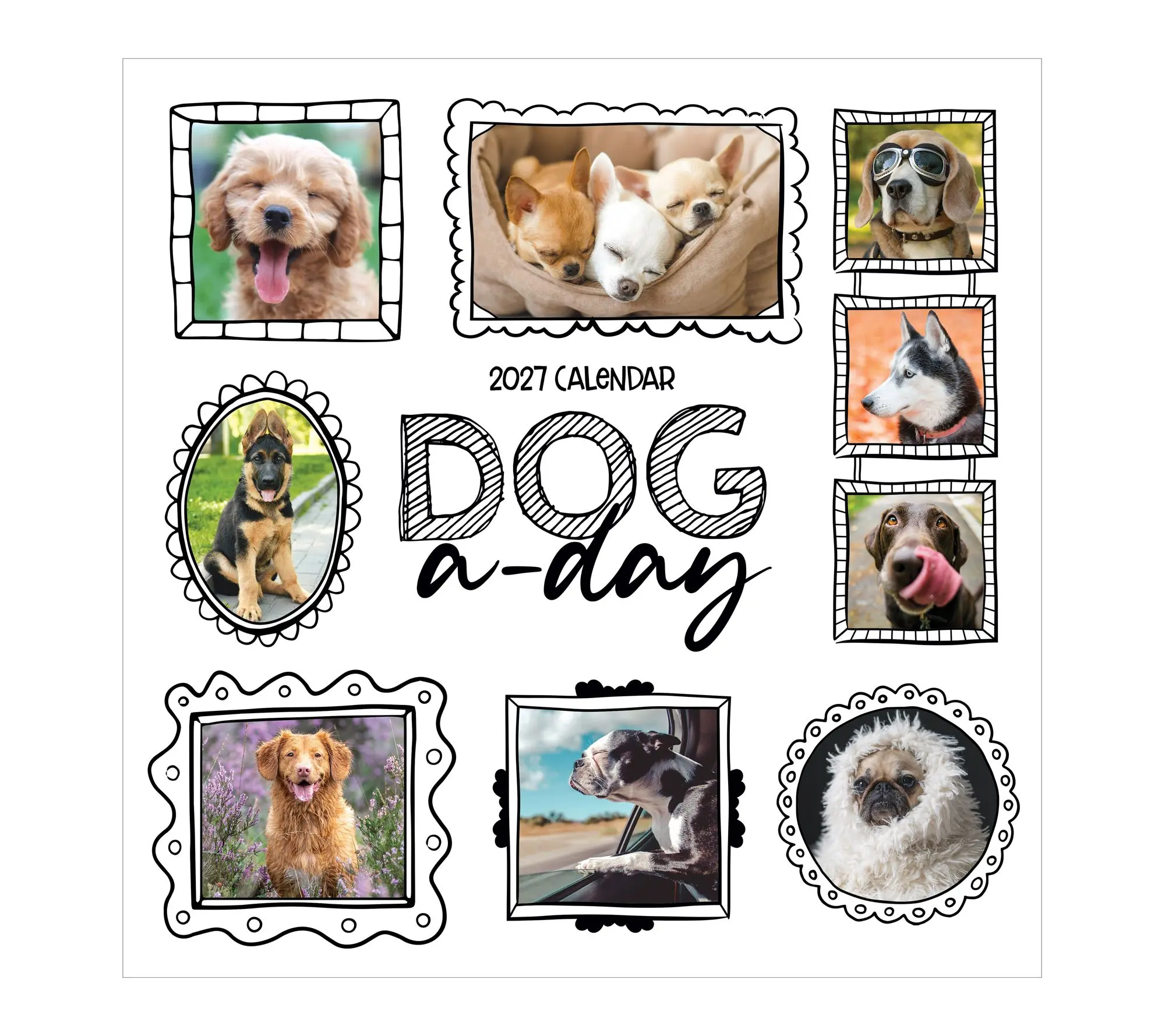 TF Publishing 2027 Dog A Day Wall Calendar TF Publishing 2027 Dog A Day Wall Calendar