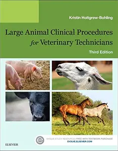 USED-Large Animal Clinical Procedures for Veterinary Technicians by Holtgrew-Bohling, Kristin J. (Paperback)