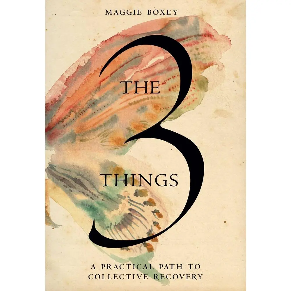 USED-The 3 Things: A Practical Path to Collective Recovery by Boxey, Maggie (Hardcover)