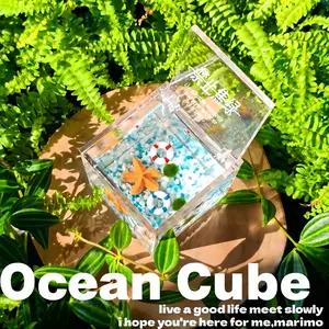 Healing Live Aquarium Plant Decor - Cute Cube Terrarium with Marimo Moss Ball, A Self-Sustaining Closed Ecosystem & Soothing Micro-Landscape for Mindful Desk (Includes LIVELY Moss Ball Pet)