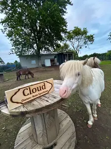 Cloud Personalized Wooden Horse Stall Name Sign - Rustic Barn Plaque, Decorative Memorial Stable Gate Decor, Handcrafted Durable Solid Wood Engraved Lettering, Weatherproof Home Decor Sign