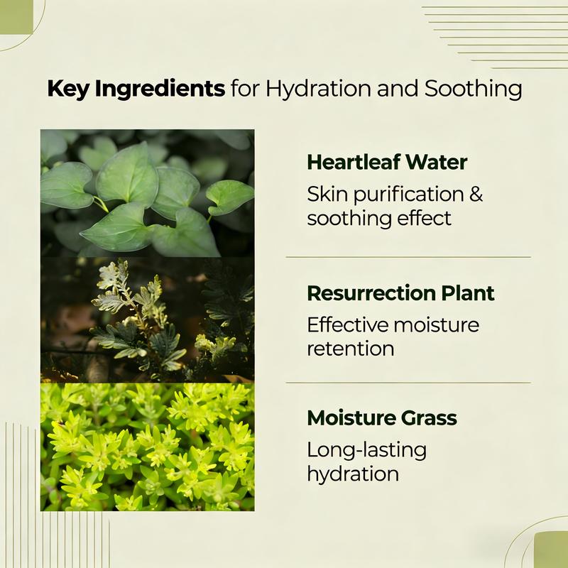 JMsolution Heartleaf Cleansing Oil - Deep Pore Makeup Remover for Sensitive Skin Viral Korea Holy Grail Safe & Effective K-Beauty