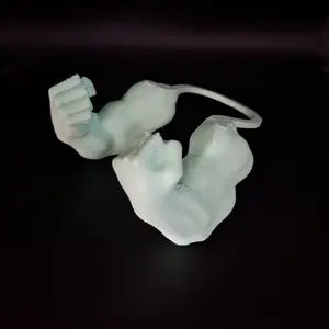 Strong Chicken Arms.