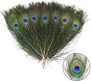 12pcs Peacock Feather Natural in Bulk 10-12 inch 25-30cm Small EyeFor Craft Vase Wedding Home Party Christmas Day Decoration Peacock Feathers